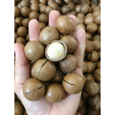 Hạt Hướng Dương 500g Loại 1 FREE SHIP Giá chỉ 89.000đ, Từ 50K, Hàng ngon nhà làm 5 Hạt Hướng Dương 500g Loại 1 FREE SHIP Giá chỉ 89.000đ, Từ 50K, Hàng ngon nhà làm 5