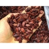 Hạt Hướng Dương 500g Loại 1 FREE SHIP Giá chỉ 89.000đ, Từ 50K, Hàng ngon nhà làm 7