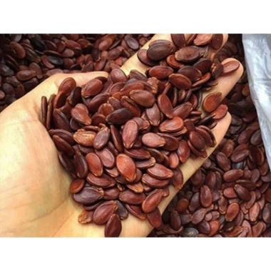 Hạt Hướng Dương 500g Loại 1 FREE SHIP Giá chỉ 89.000đ, Từ 50K, Hàng ngon nhà làm 7 Hạt Hướng Dương 500g Loại 1 FREE SHIP Giá chỉ 89.000đ, Từ 50K, Hàng ngon nhà làm 7