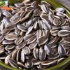 Hạt Hướng Dương 500g SaiGon Food - Dinh dưỡng cao, giá ưu đãi 98.334 VND 2