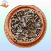 Hạt Hướng Dương 500g SaiGon Food - Dinh dưỡng cao, giá ưu đãi 98.334 VND 4