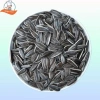 Hạt Hướng Dương 500g SaiGon Food - Dinh dưỡng cao, giá ưu đãi 98.334 VND 5