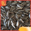 Hạt Hướng Dương 500g Vị Dừa Ngon – Giá chỉ 35.000₫, Thơm Đậm Đà, Ăn Vặt Mạnh 2