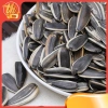 Hạt Hướng Dương 500g Vị Dừa Ngon – Giá chỉ 35.000₫, Thơm Đậm Đà, Ăn Vặt Mạnh 3