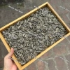 Hạt hướng dương đen rang sẵn – Giòn bùi thơm ngon, ăn vặt Tết, chỉ 32.000 VND (giá gốc 38.400 VND) 5