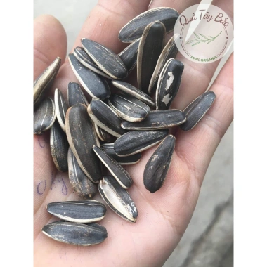 Hạt hướng dương Hải Yến ăn liền 1KG Đặc biệt - Thơm ngon, giá chỉ 27.900đ 2 Hạt hướng dương Hải Yến ăn liền 1KG Đặc biệt - Thơm ngon, giá chỉ 27.900đ 2