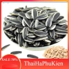 Hạt Hướng Dương Loại 1 Đóng Cân 500g-1kg Giá ưu đãi 56.900đ - Shop Thái Hà