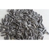 Hạt Hướng Dương Loại 1 Đóng Cân 500g-1kg Giá ưu đãi 56.900đ - Shop Thái Hà 4