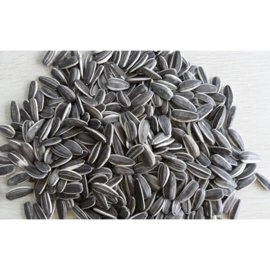 Hạt Hướng Dương Loại 1 Đóng Cân 500g-1kg Giá ưu đãi 56.900đ - Shop Thái Hà 4