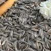 Hạt Hướng Dương Mỹ Vị 1KG Sạch Organic Đậm Đà Giòn Tan Giá Chỉ 108.000 VNĐ 5