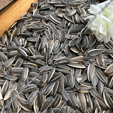 Hạt Hướng Dương Mỹ Vị 1KG Sạch Organic – Vị thơm bùi, to chắc, chỉ 118.000₫