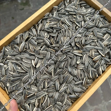 Hạt Hướng Dương Mỹ Vị 1KG Sạch Organic – Vị thơm bùi, to chắc, chỉ 118.000₫