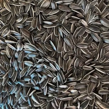 Hạt Hướng Dương Ngon To Giòn Mẩy 500g-1kg - Giá chỉ 56.500 VND, giảm tới 22%