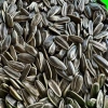 Hạt Hướng Dương Nguyên Vị 1kg Suchin - Hạt To Hàng Loại, Giá Ưu Đãi 61.000 VND 2