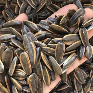Hạt Hướng Dương Nguyên Vị 1kg Suchin - Hạt To Hàng Loại, Giá Ưu Đãi 61.000 VND