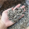 Hạt Hướng Dương Rang Củi 1kg FreeShip – Vị Truyền Thống & Vị Dừa, Giá 65.000 4