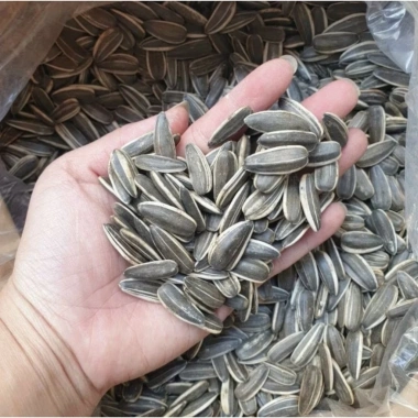 Hạt Hướng Dương Rang Củi 1kg FreeShip – Vị Truyền Thống & Vị Dừa, Giá 65.000
