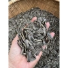 Hạt hướng dương rang củi Điện Biên - Giòn tan, thơm ngon, chỉ 77.000₫ (giảm từ 98.560₫) 8