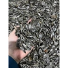 Hạt Hướng Dương Rang Củi Tây Bắc - Hạt To, Thơm Bùi, Giòn Ngon, Giá 80.000 VNĐ 4