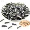 Hạt Hướng Dương Rang Mộc Lớn Nhân Đầy - Snack Ăn Vặt Giảm Giá 56k