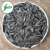 Hạt hướng dương rang muối 500g – Đều, chắc, ngon – Giá 53k tại Vườn Đặc Sản 4
