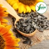 Hạt hướng dương rang muối 500g – Đều, chắc, ngon – Giá 53k tại Vườn Đặc Sản 6