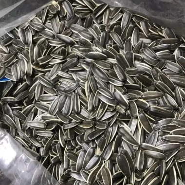Hạt Hướng Dương Rang Sẵn Thơm Ngon, Hạt To Đẹp, Xuất Khẩu, Túi Zip 1kg 47.235 VND
