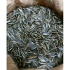 Hạt Hướng Dương Sạch Loại 1 Giòn Túi Zip 500g + 300g + Gói CTY 500g - Giá 45.000 Đ 2