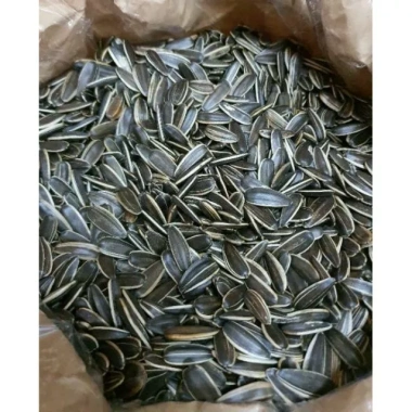 Hạt Hướng Dương Sạch Loại 1 Giòn Túi Zip 500g + 300g + Gói CTY 500g - Giá 45.000 Đ