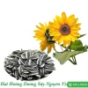Hạt Hướng Dương Sấy Nguyên Vị 1kg Đều Giòn Bùi - Chỉ 61,000 VND (giảm từ 76,860) 2