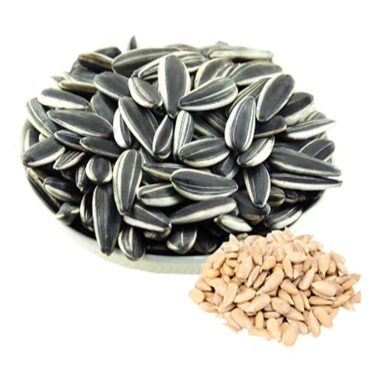 Hạt hướng dương SKFood 1kg thơm ngon, giòn tan, ăn vặt giảm giá 129k - Dinh dưỡng, tiện lợi 3 Hạt hướng dương SKFood 1kg thơm ngon, giòn tan, ăn vặt giảm giá 129k - Dinh dưỡng, tiện lợi 3