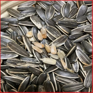 Hạt hướng dương to giòn mẩy 500g-1kg - Loại ngon, giảm còn 24.000đ, chất lượng cao