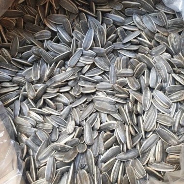 Hạt Hướng Dương Trung 500g Túi Zip Đặc Biệt - Hồ Sơ Công Bố và Kiểm Nghiệm, 95.000₫ 4
