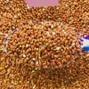 Hạt Kê Đỏ 1Kg - Thức ăn giàu dinh dưỡng cho gà, chim cảnh, vẹt, hamster - Giá ưu đãi 29.000 VND