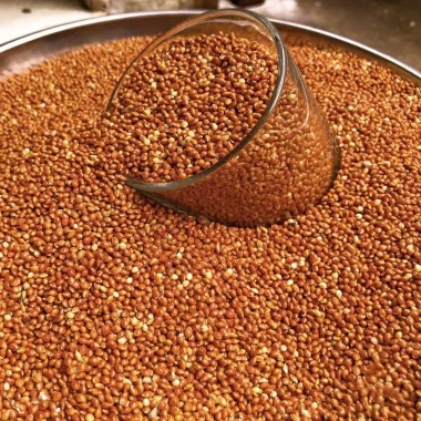 Hạt Kê Đỏ 1Kg - Thức ăn giàu dinh dưỡng cho gà, chim cảnh, vẹt, hamster - Giá ưu đãi 29.000 VND 4