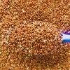 Hạt Kê Đỏ 500g - Hạt Bóng Dinh Dưỡng Cho Gà Rutin, Chim Cảnh, Vẹt, Hamster - 19.000 VND 2