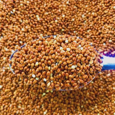 Hạt Kê Đỏ 500g - Hạt Bóng Dinh Dưỡng Cho Gà Rutin, Chim Cảnh, Vẹt, Hamster - 19.000 VND 2