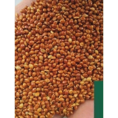 Hạt Kê Đỏ 500g - Hạt Bóng Dinh Dưỡng Cho Gà Rutin, Chim Cảnh, Vẹt, Hamster - 19.000 VND 6