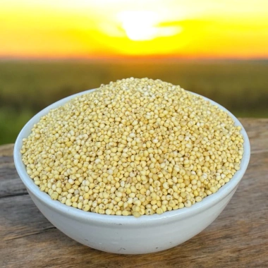 Hạt Kê Nếp 500gr Kim Anh Nuts - Nấu sữa, cháo, món ăn, giá chỉ 50.000đ 2