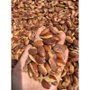 Hạt Konia Rang Sẵn 1KG - Ngon Giòn, Giá Ưu Đãi 69.000đ, Thưởng Thức Ngay