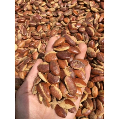 Hạt Konia Rang Sẵn 1KG - Ngon Giòn, Giá Ưu Đãi 69.000đ, Thưởng Thức Ngay