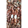 Hạt Konia Rang Sẵn 1KG - Ngon Giòn, Giá Ưu Đãi 69.000đ, Thưởng Thức Ngay 4