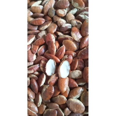 Hạt Konia Rang Sẵn 1KG - Ngon Giòn, Giá Ưu Đãi 69.000đ, Thưởng Thức Ngay 4 Hạt Konia Rang Sẵn 1KG - Ngon Giòn, Giá Ưu Đãi 69.000đ, Thưởng Thức Ngay 4