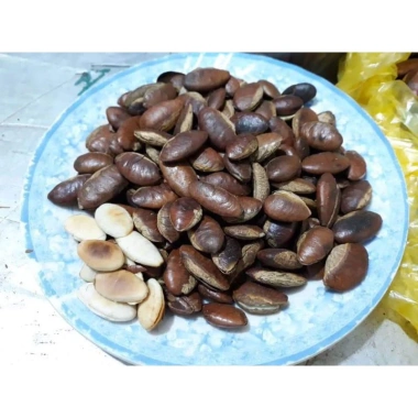 Hạt Konia Rang Sẵn 1KG - Ngon Giòn, Giá Ưu Đãi 69.000đ, Thưởng Thức Ngay