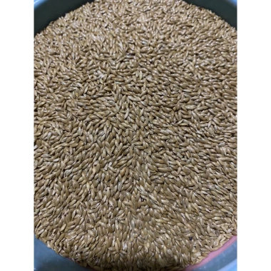 Hạt láng dinh dưỡng cho vẹt nhỏ chim, giá 16.000 đồng, tăng sức khỏe, lông bóng 2