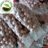 Hạt mắc ca nứt vỏ sấy - Macadamia nuts thơm béo, chỉ 123.500đ giảm từ 148.200đ 3