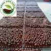 Hạt mắc ca nứt vỏ sấy - Macadamia nuts thơm béo, chỉ 123.500đ giảm từ 148.200đ 5