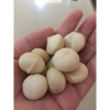 Hạt Maca Nông Sản Sạch Di Linh Lâm Đồng 1KG VIP - Giá chỉ 369.000đ, giảm từ 450.180đ 2
