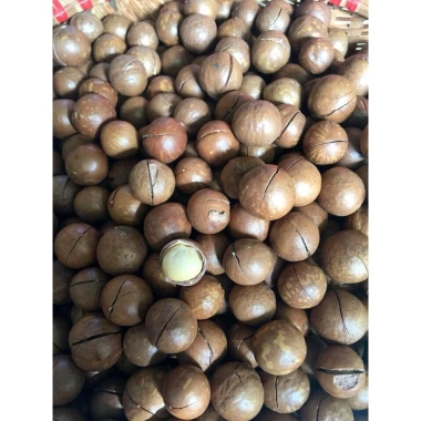 Hạt Maca Nông Sản Sạch Di Linh Lâm Đồng 1KG VIP - Giá chỉ 369.000đ, giảm từ 450.180đ