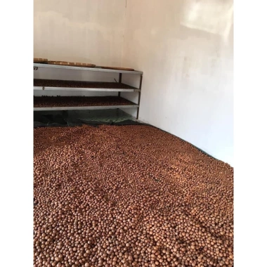 Hạt Maca Nông Sản Sạch Di Linh Lâm Đồng 1KG VIP - Giá chỉ 369.000đ, giảm từ 450.180đ
